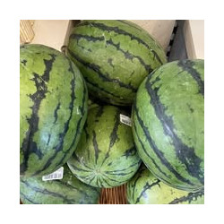 Melone 1Stk