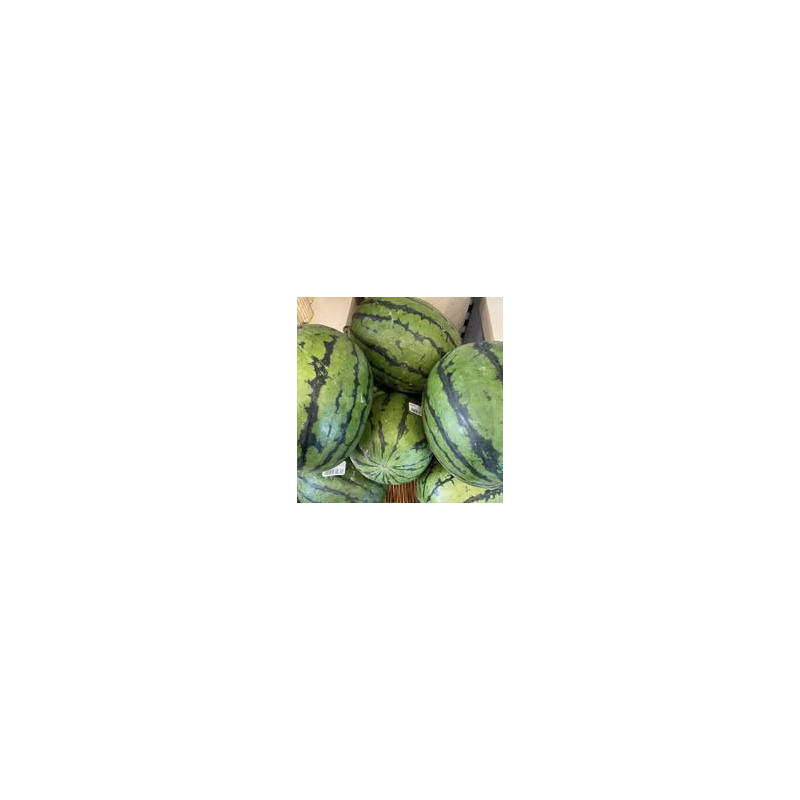 Melone 1Stk