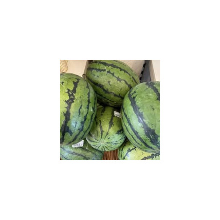 Melone 1Stk