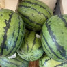 Melone 1Stk