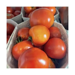 Paradeiser / Tomaten