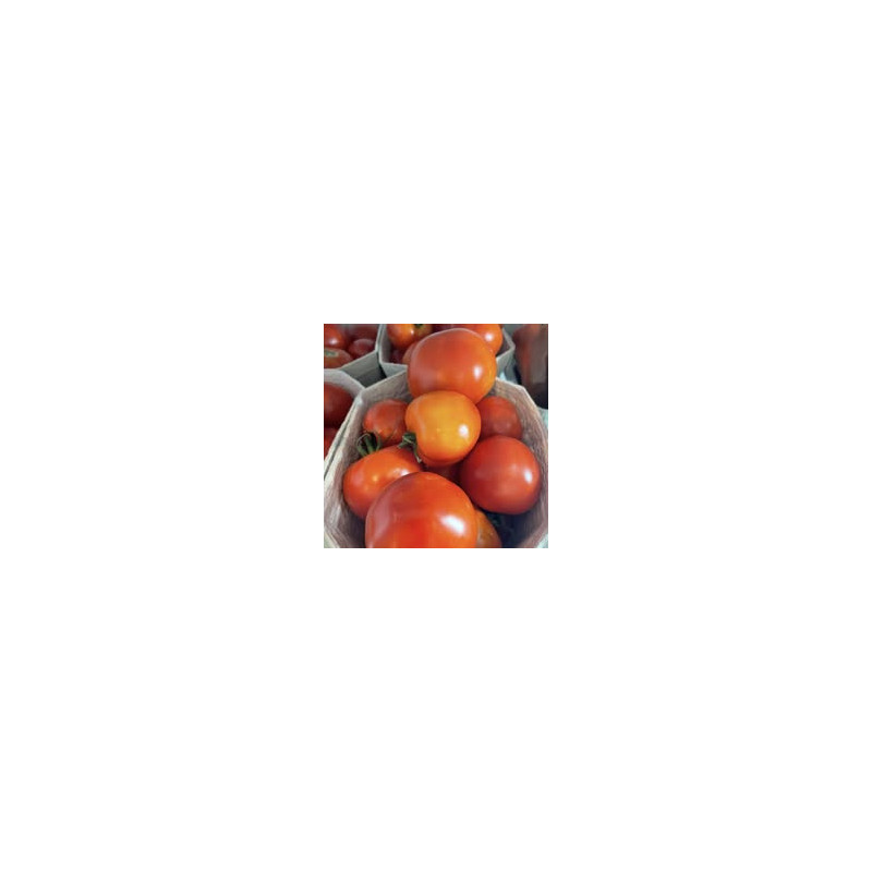 Paradeiser / Tomaten