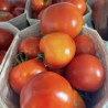 Paradeiser / Tomaten