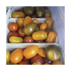 Paradeiser / Tomaten