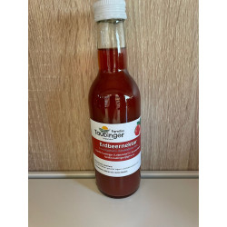 Erdbeer Nektar 250ml