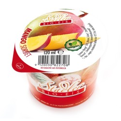 Sorbet Vegan 120ml - Mango