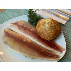 Räucherforelle filetiert