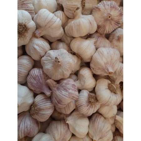 Knoblauch im Netz 200g