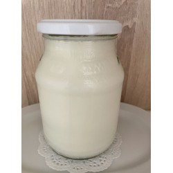 Joghurt natur 250g inkl. Pfand