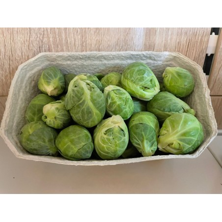 Kohlsprossen 400g