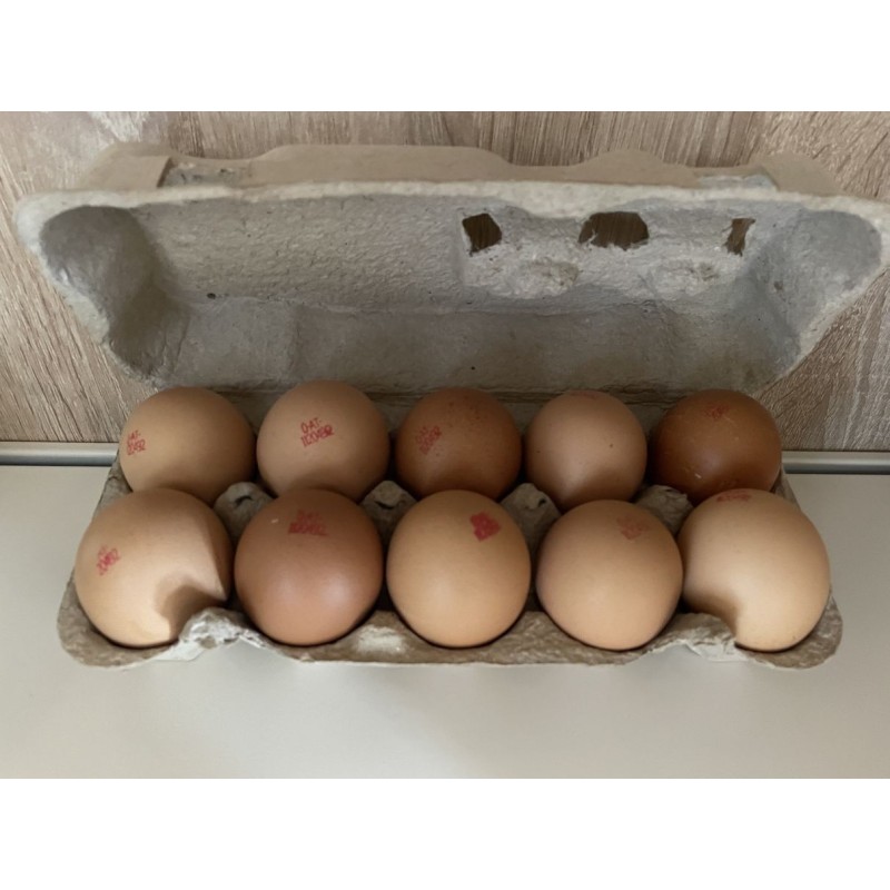 1kg Bio Eierbox